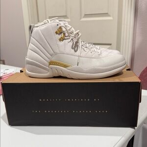 Jordan 12 Retro Phantom - Womens Size 11 / Mens Size 9.5